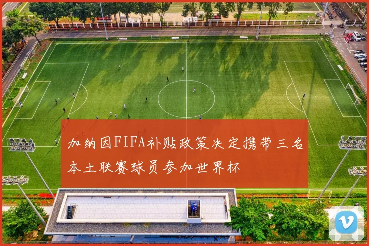 加纳因FIFA补贴政策决定携带三名本土联赛球员参加世界杯
