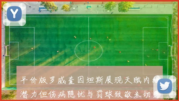 平价版罗威奎因坦斯展现天赋内线潜力但伤病隐忧与罚球致敬米切罗